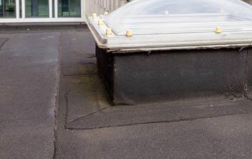 disadvantages of Small Dole flat roofs