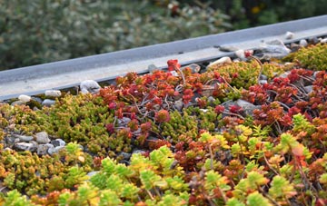 the cost of Small Dole green roof installation