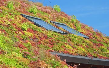 Small Dole living roof systems