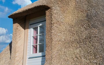 Small Dole thatch roof disadvantages