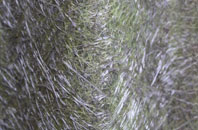 Small Dole fibreglass roof work