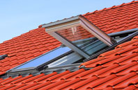 Small Dole roof window